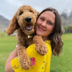 Beth Farmer's dog Boone — Goldendoodle — photo 1