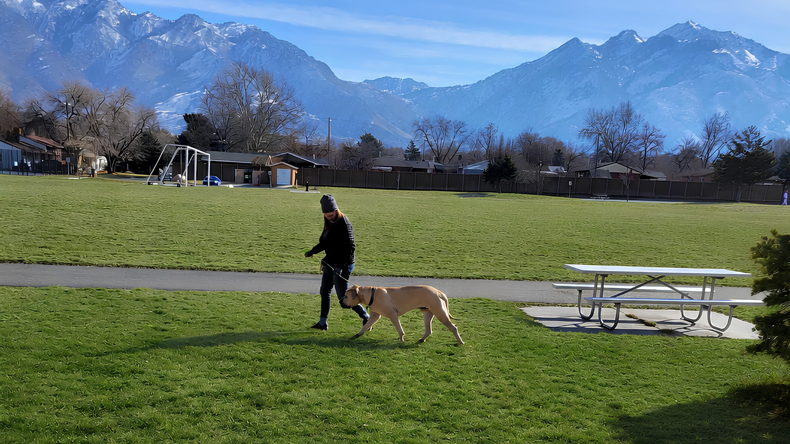 A dog walking politely on a loose leash beside its owner in a Utah park with the Wasatch mountains behind them